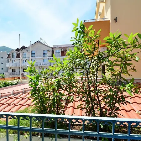 Velzon Budva