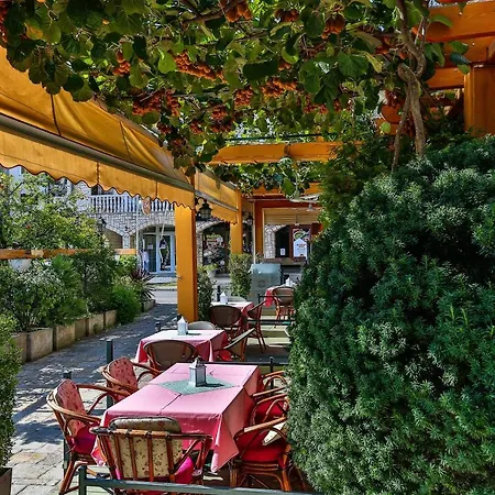 Velzon 3* Budva